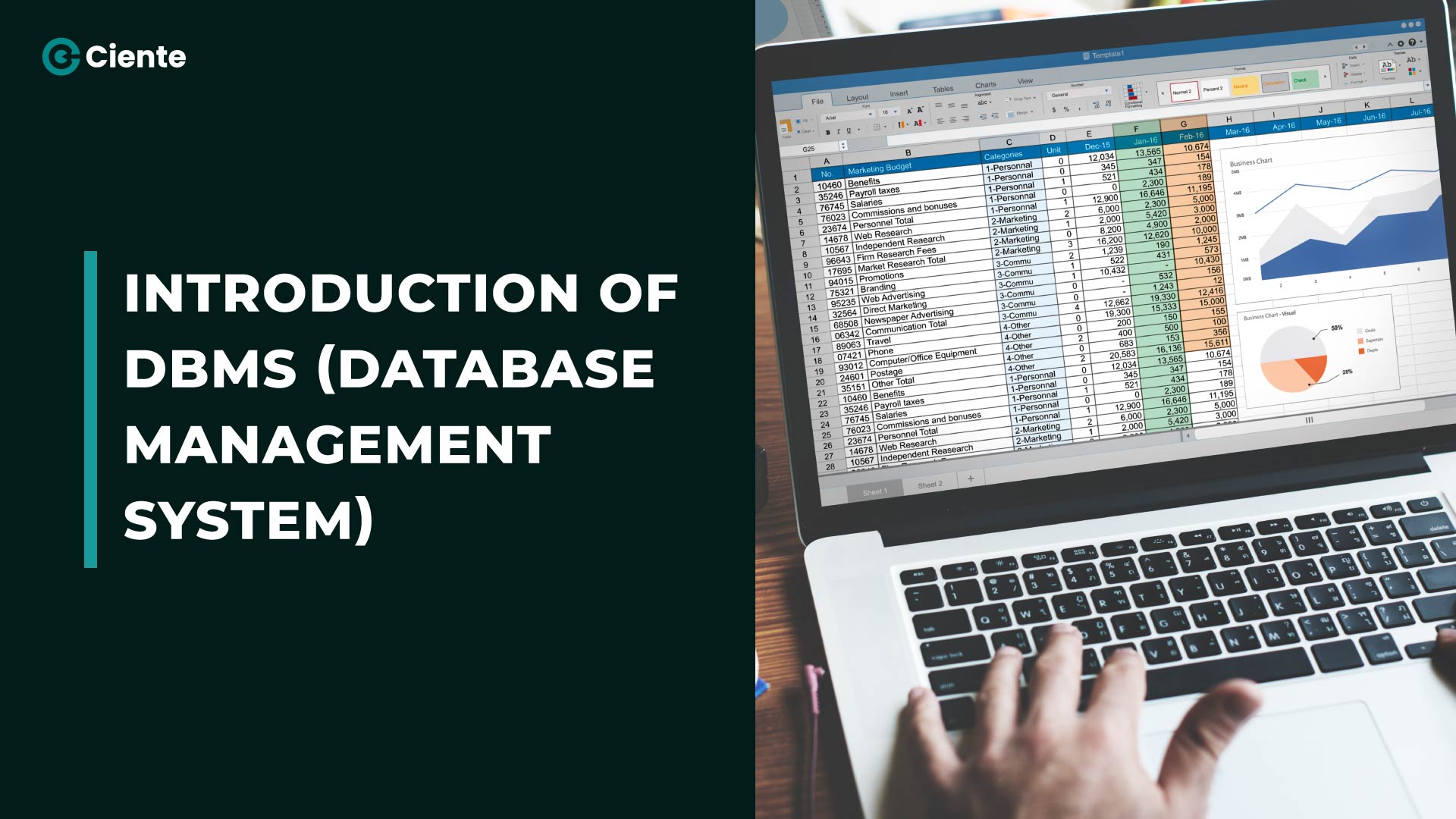 Database-Management-System