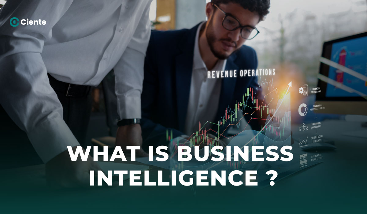 What-is-Business-Intelligence
