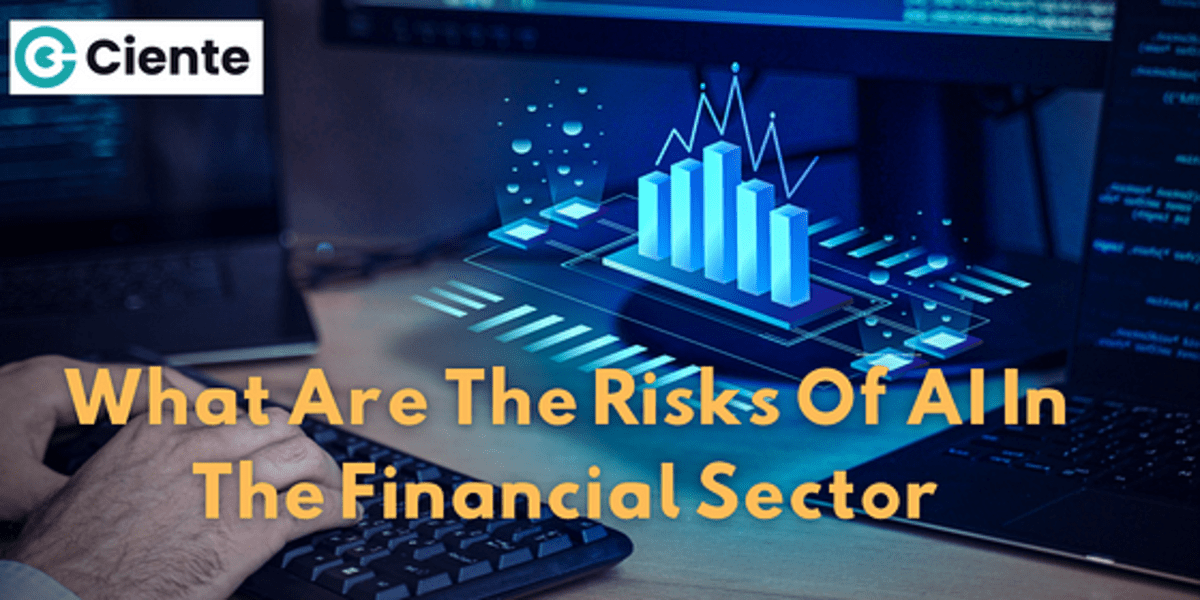 What Are The Risks Of AI In The Financial Sector?