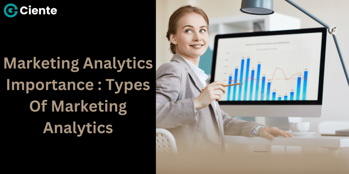 Marketing Analytics Importance : Types Of Marketing Analytics